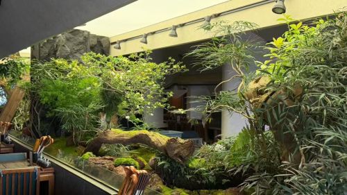 商业空间绿植装饰方案