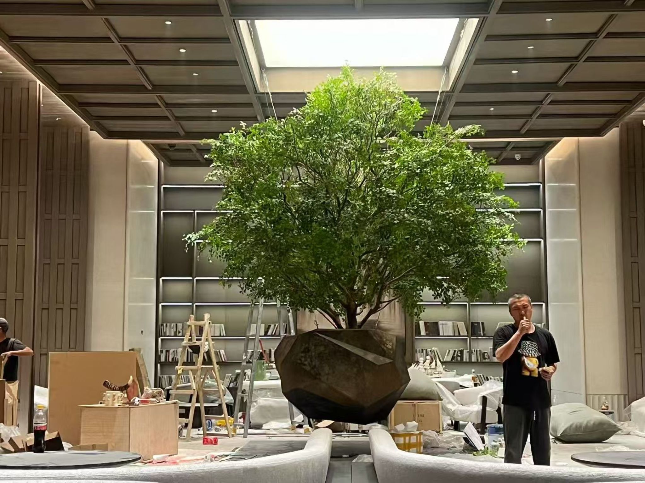 商业空间绿植装饰方案 gallery 1