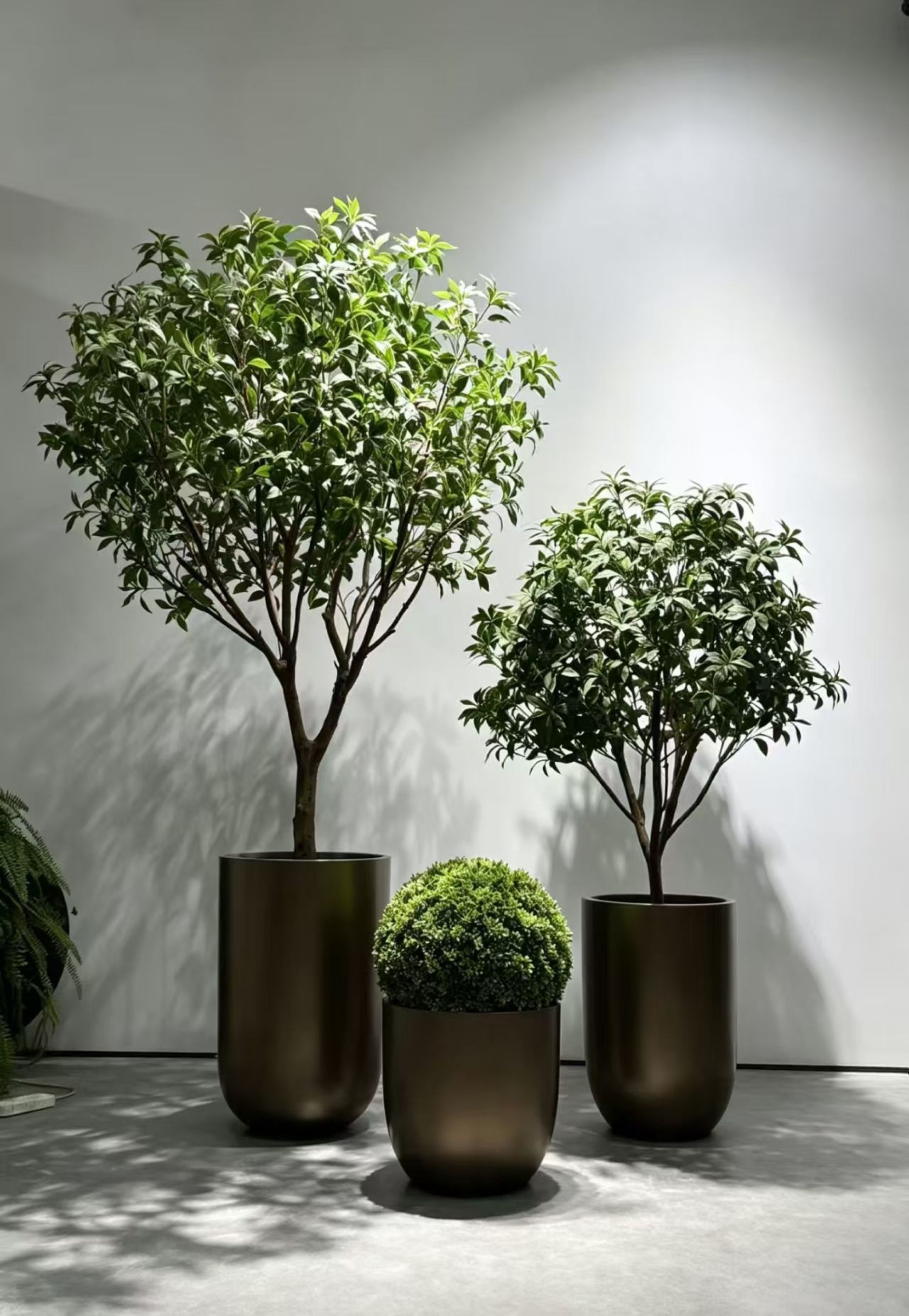 商业空间绿植装饰方案 gallery 2